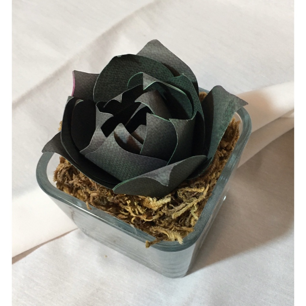 Cactus paper handmade glass holder pebbles & moss